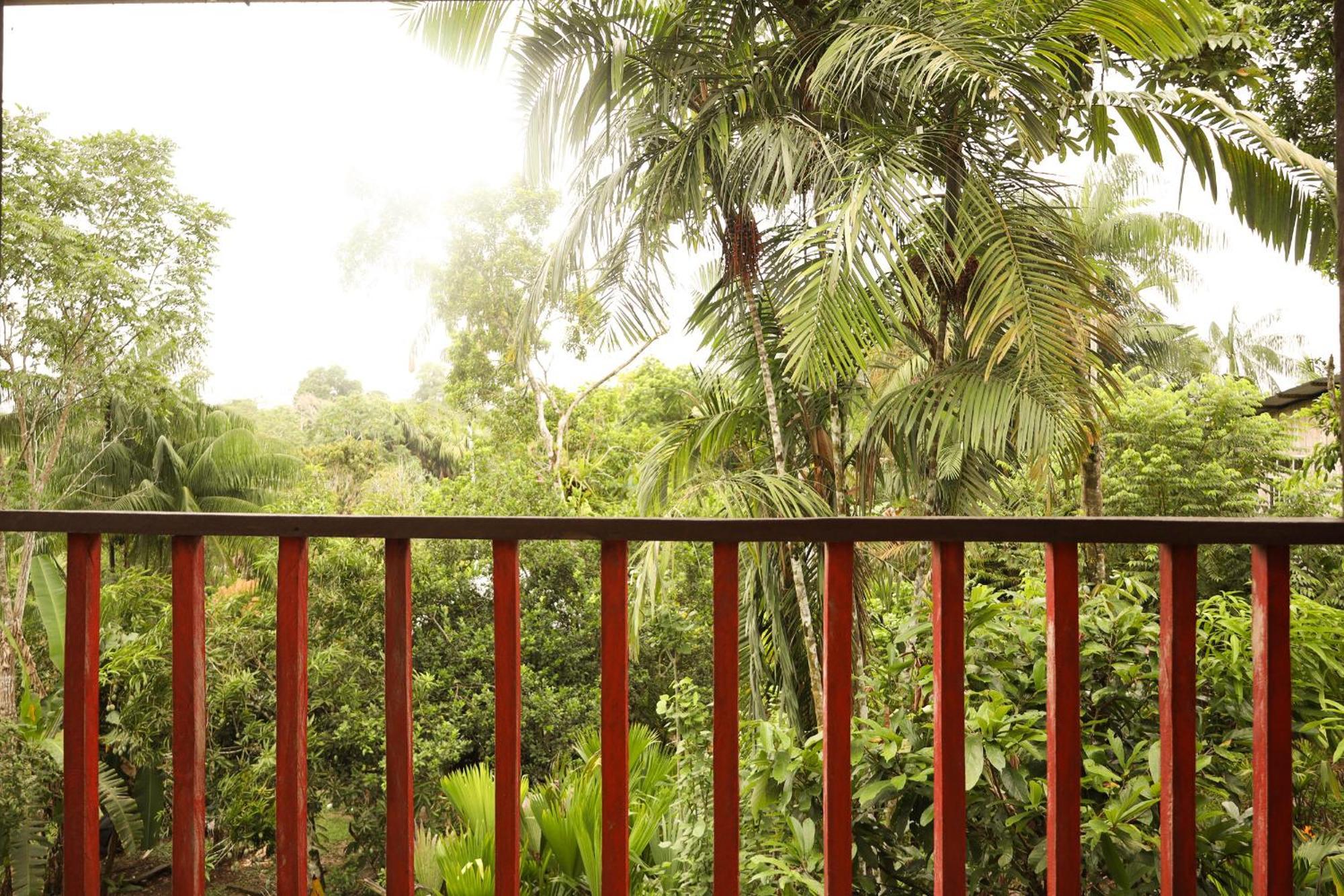 La Ceiba, Amazonas Hotel Leticia Luaran gambar